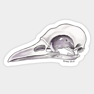 Raven Skull Sticker